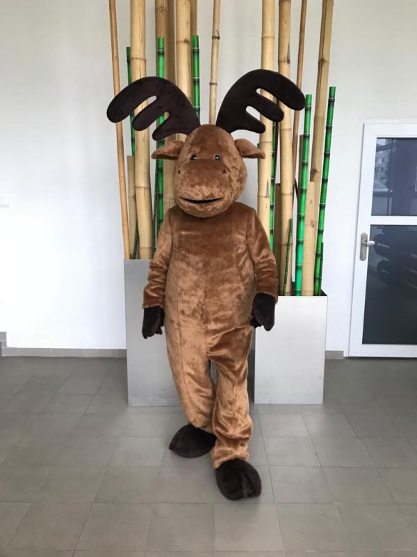 MASKOT . 607