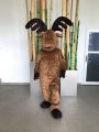 Maskot . 607